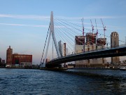 276  Erasmus Bridge.JPG